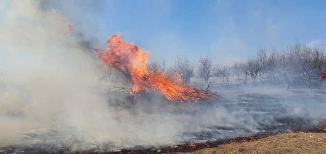 15 incendii de vegetație timp de o săptămână în raionul Leova