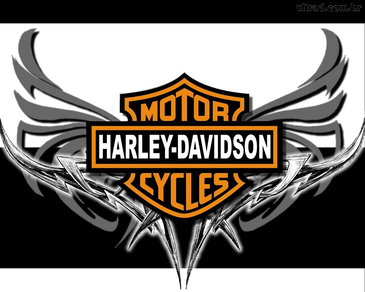 Download this Harley Davidson picture