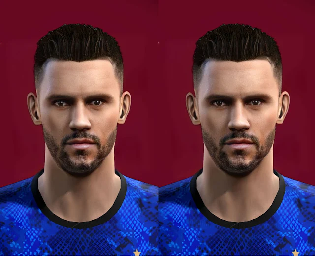 Stefan de Vrij Face 2023 For PES 2013