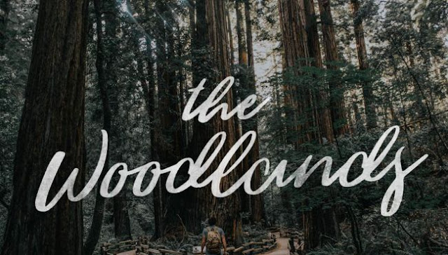 Kumpulan Font Script Gratis 