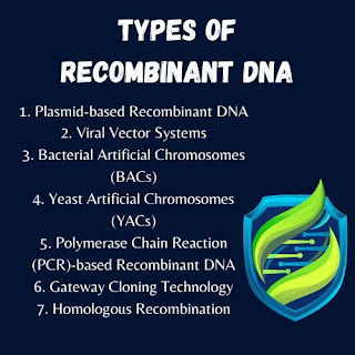 Types of recombinant DNA