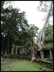 Cambodia, Siem Reap, Ta Som, 2 September 2012 (11)