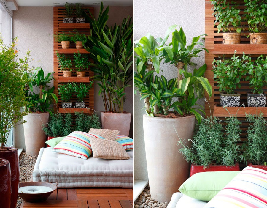 Veja como decorar ambientes com plantas fáceis de cuidar Terra