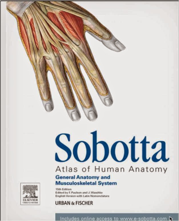 human osteology pdf free download