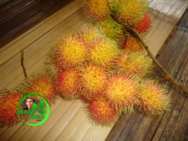 Kandungan dalam buah Rambutan