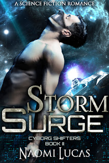 Storm Surge by Naomi Lucas