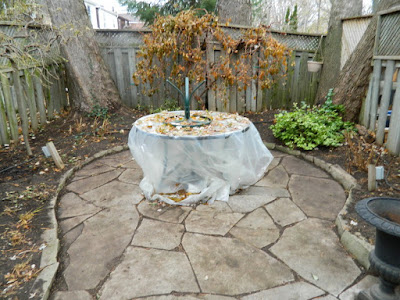 Greenwood-Coxwell Fall Garden Cleanup after by Toronto Paul Jung Gardening Services