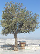 Greece: Athens: The view from Lykavittos Hill, the highest point in Athens. (athens two )