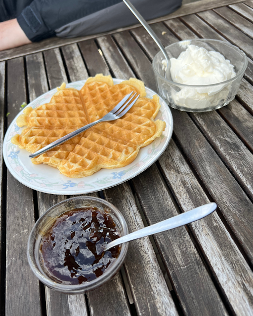 Enjoying a waffle with fresh cream and preserves at Fjöruhúsið near the bird cliffs of Hellnar, Iceland.