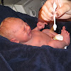 Circumcised Baby Bath / Baby Blakely: For the Boys: Bath Paint / Enjoy the videos and music you love, upload original content, and share it all with friends, family, and the world on youtube.