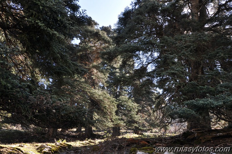 IX Travesía Sierra de las Nieves