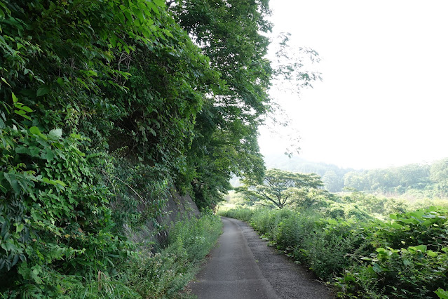 佐陀川の際の道を帰ります