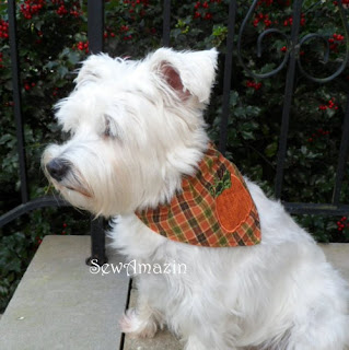 Thanksgiving/Harvest Bandana style collar slipcovers