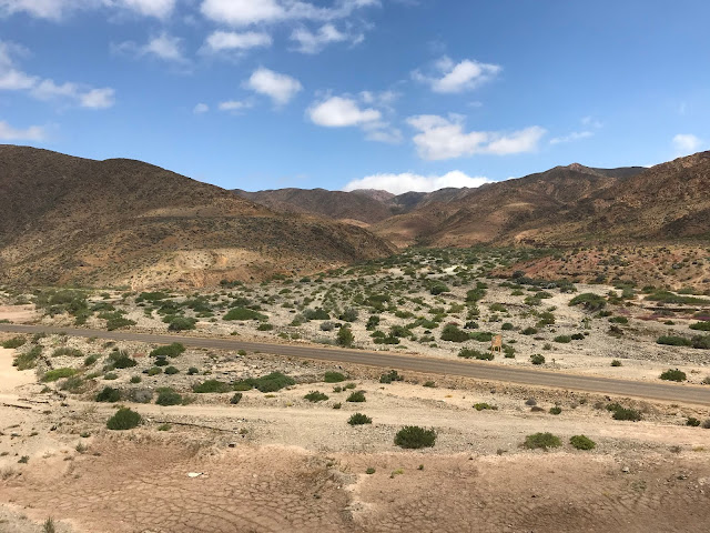 Parque Llanos de Challe, Región de Atacama, Chile