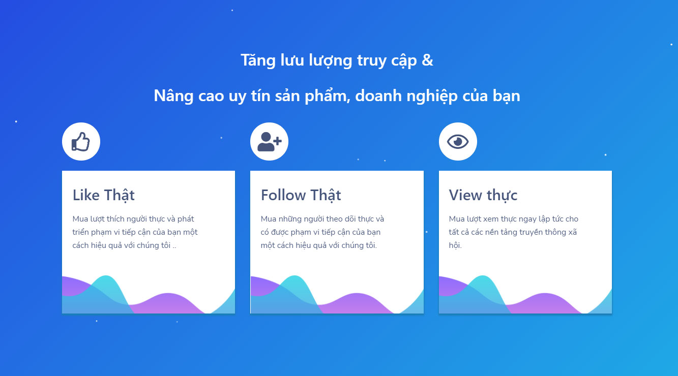 Review BigSub: hệ thống tăng tương tác đa dạng nhất hiện nay