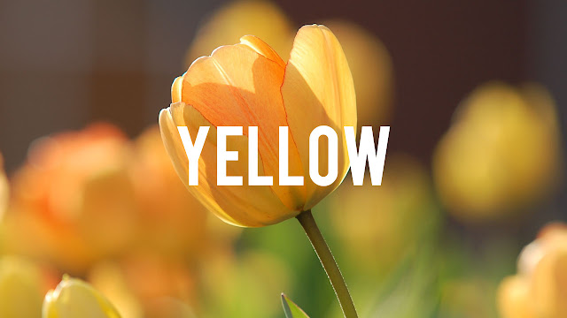 The color yellow is bright and filled with hope and optimism.