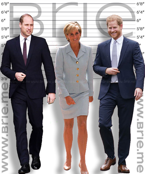 Prince William, Princess Diana and Prince Harry height compariso
