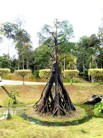 eksplorasi taman botani negara shah alam