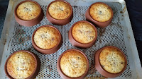 financiers cuits 