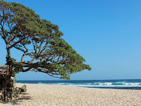 Wisata Pantai Pok Tunggal Yogyakarta 