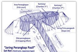 ALAT TANGKAP SET NET DI LAMPUNG