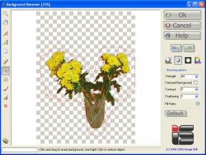 Download gratis ImageSkill Background Remover  v3.1 full