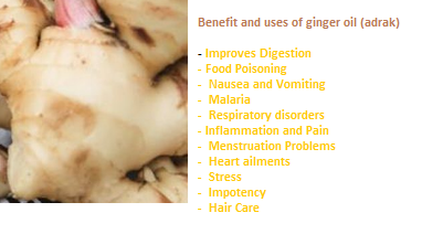 Benefit and uses of ginger oil (adrak) 