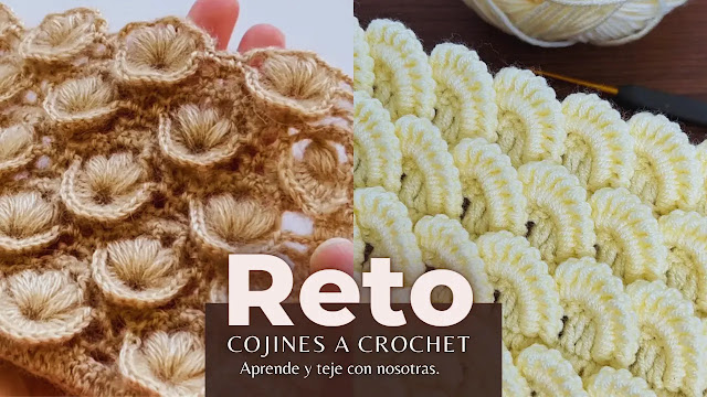 ¡Vamos a tejer cojines con puntadas avanzadas! Reto para Tejedoras a Crochet