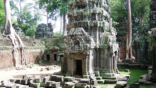 Ta Prohm Temple in Cambodia