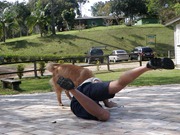 Pets 4_1 (29)