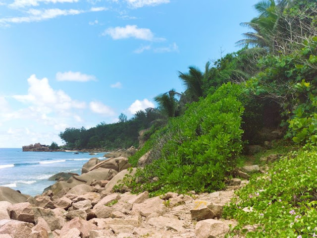 sentiero Anse Caiman La Digue Seychelles