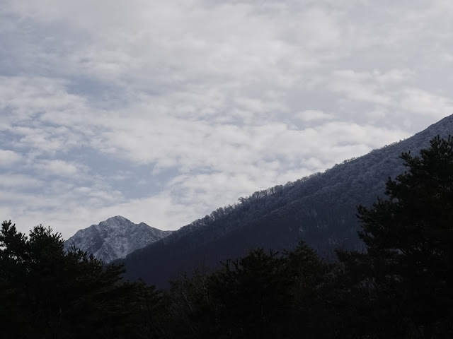 鳥取県西伯郡伯耆町丸山の牧草地　大山の眺望