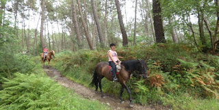 Asturias, Aventuras a Caballo.