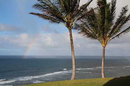 Two palm trees overlooking the sea; in the distance, on the sea, a sailing ship and a rainbow