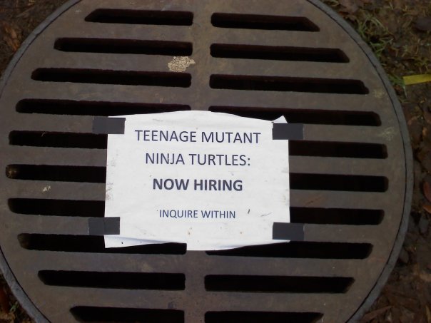 TMNT Hiring , funny signs