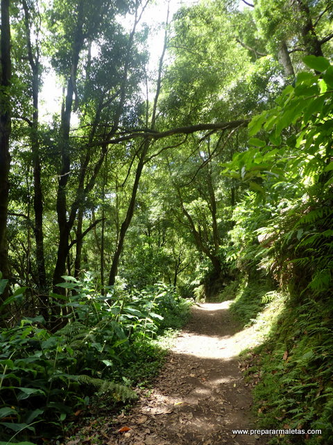 ruta de senderismo fácil en el este de San Miguel Azores