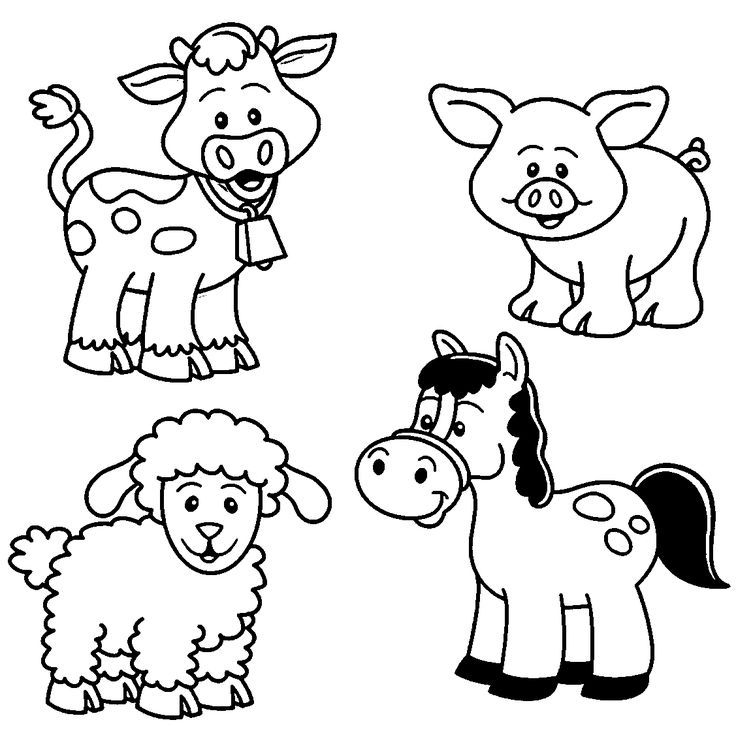 beautiful animals coloring page