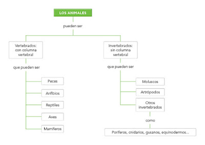  Esquema de los animales