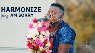 MP3 AUDIO | Harmonize – AM Sorry (Live performance) (Mp3 Download)