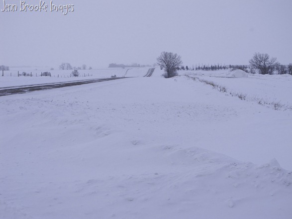 jan15-20110114-IMG_2204-110114