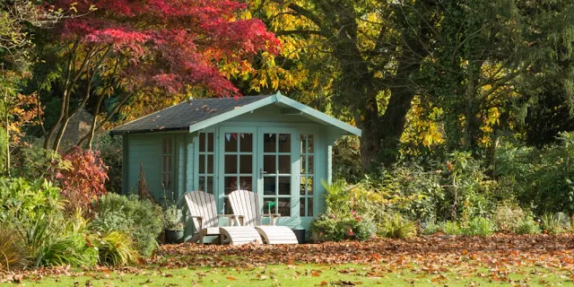 Autumn work in the garden: maintenance, planting, cultivation