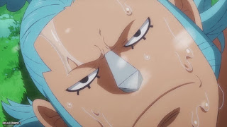 ワンピース アニメ エッグヘッド編 1090話 フランキー ONE PIECE Episode 1090