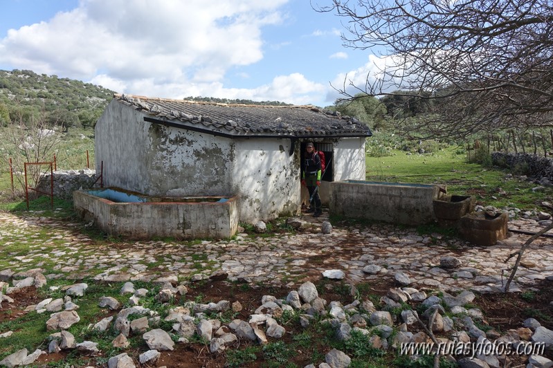 El Cintillo - Sierra Baja de Ubrique - Paso del Bombo - Ubrique - Cañada de los Pernales