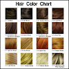 Brown Hair Dye Colors Chart