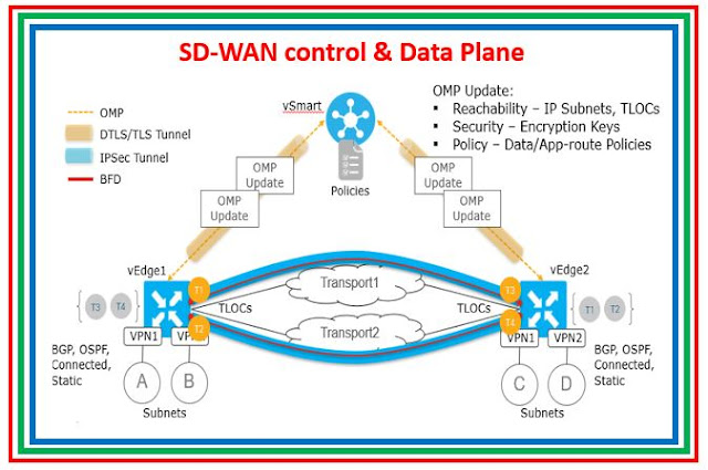 Cisco SDWAN OMP Routes