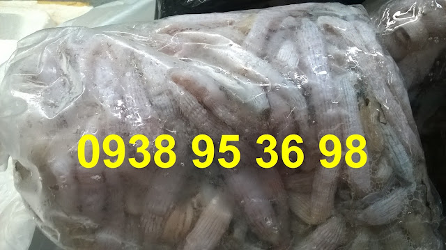 Sỉ lẻ sá sùng, trùn biển giá tốt 0938 95 36 98.  Mua bán sá sùng tươi ngon giá rẻ tại Sài Gòn, trùn biển tươi giá tốt, giá bán sá sùng rẻ nhất tại hải sản Hoài Nhơn, mua sá sùng tươi ngon giá rẻ tại đây, trùn biển tươi sạch cát giá rẻ, cung cấp sỉ lẻ sá sùng tươi làm sạch, sá sùng tươi rẻ, trùn biển ngon làm sạch.  Các món ngon từ sá sùng, trùn biển: cháo sá sùng - trùn biển, sá sùng - trùn biển nướng, trùn biển - sá sùng nấu lẩu, sá sùng - trùn biển xào các món, canh sá sùng - trùn biển, súp trùn biển - sá sùng,...  Hoài Nhơn 0938 95 36 98