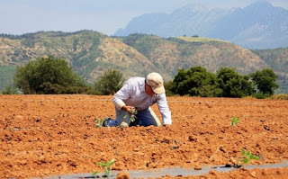 Ποιοι αγρότες δεν πληρώθηκαν