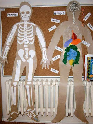 Esqueleto humano de papel craf