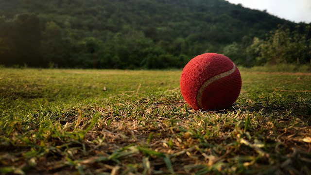 How to Play Cricket Well in Hindi