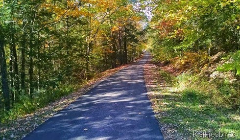 4. 10-10-14 Papermill trail at Millar park
